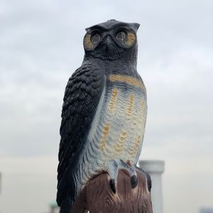 Meet your Posher, Saul